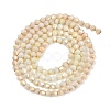 Electroplate Bicone Glass Beads Strands GL-T021-2.5x3mm-16-14-2