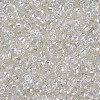 8/0 Glass Seed Beads X1-SEED-A006-3mm-101-2
