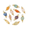Natural Gemstone Beaded Connector Charms PALLOY-JF06057-1