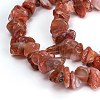 Natural Carnelian Beads Strands G-G011-01-2