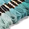 8 Skeins 8 Colors 6-Ply Polyester Embroidery Floss OCOR-M009-01A-06-2