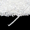 Glass Seed Beads CSDBTC01-2