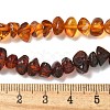 Gradient Color Natural Amber Beads Strands G-K387-F01-01-5