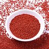 MIYUKI Delica Beads X-SEED-J020-DB0795-2