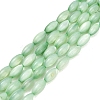 Natural Freshwater Shell Beads Strands SHEL-C010-01-2