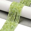 Natural Xiuyan Jade Beads Strands G-Z074-A04-01-1