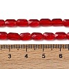 Transparent Glass Beads Strands GLAA-Z018-C19-4
