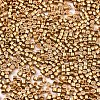 FGB 11/0 Grade A Glass Seed Beads X-SEED-S030-1219-2