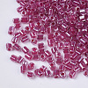 8/0 Two Cut Glass Seed Beads SEED-S033-10A-01-2