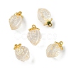 Transparent Glass Pendants GLAA-P072-03G-10-1