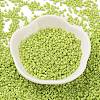 Baking Paint Glass Seed Beads X-SEED-S042-05B-62-2