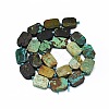 Natural Turquoise Beads Strands G-F725-10-2