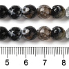 Dyed & Heated Natural Fire Crackle Agate Beads Strands G-P539-B01-10-5