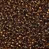 TOHO 8/0 Round Beads SEED-JPTR08-2152S-2
