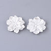 Resin Cabochons LS-X-RESI-S364-46B-1