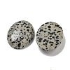 Natural Dalmatian Jasper Cabochons G-C115-01B-10-2