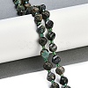 Natural African Turquoise(Jasper) Beads Strands G-L579-05A-2