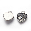 304 Stainless Steel Pendants STAS-F184-B09-2