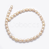 Natural Cultured Freshwater Pearl Beads Strands PEAR-K003-26C-01-2