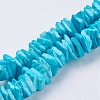 Natural Sea Shell Beads Strands X-BSHE-K012-08C-1
