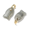 Natural Labradorite Pendants G-A297-01G-15-2