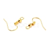 Iron Earring Hooks X-E135-NFG-2