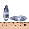 Natural Sodalite Pendants G-K381-27-3