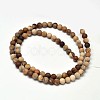 Frosted Natural Petrified Wood Round Bead Strands G-F266-07-6mm-2