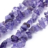 Natural Amethyst Beads Strands X-G-P332-06-1
