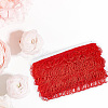 Polyester Tassel Lace Ribbon DIY-WH0308-535B-7