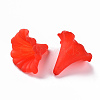 Transparent Acrylic Beads BSF796M-3