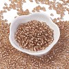 6/0 Glass Seed Beads SEED-A005-4mm-39A-1