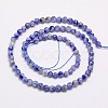Natural Blue Spot Jasper Beads Strands G-G545-17-2