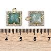 Natural Amazonite Faceted Square Charms G-I375-06G-04-3