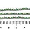 Natural Variscite Beads Strands G-G188-B05-03-5