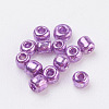 12/0 Glass Seed Beads E06900B2-2