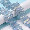 Natural Quartz Crystal Points Beads Strands G-K181-B25-4