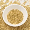 MIYUKI Delica Beads SEED-MY11-DB0031-2
