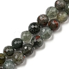 Natural Afican Bloodstone Beads Strands G-C079-B02-01-1
