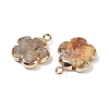 Natural Crazy Agate Pendants G-P566-01G-05-2