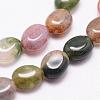 Natural Indian Agate Beads Strands G-N0173-02-6x8mm-3
