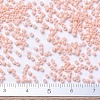 MIYUKI Delica Beads X-SEED-J020-DB0206-4