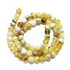 Natural Yellow Opal Beads Strands G-K245-A07-B02-2