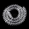 Transparent Glass Beads Strands GLAA-N001-61B-2