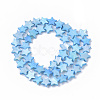 Freshwater Shell Beads Strands X-SHEL-T014-009B-2