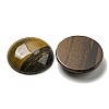 Natural Tiger Iron Cabochons G-C115-02B-34-2