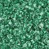 Transparent Inside Colours Glass Seed Beads SEED-A032-04G-3
