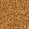 MIYUKI Delica Beads X-SEED-J020-DB0702-3