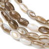 Natural Freshwater Shell Beads Strands SHEL-K006-78B-3