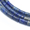Natural Lapis Lazuli Beads Strands G-F631-B04-3